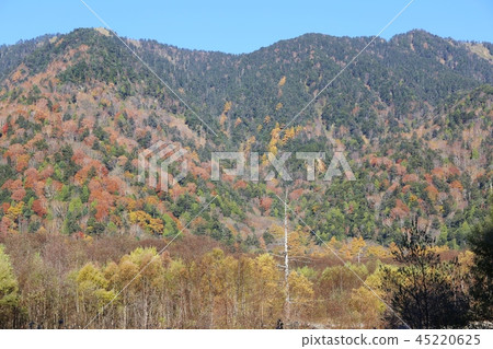 秋天Kamikochi 秋天Kamikochi 45220625