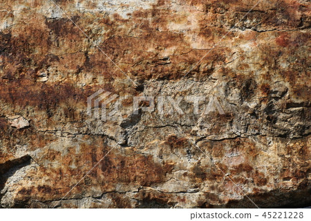 Rough rough skin Rough rough skin 45221228