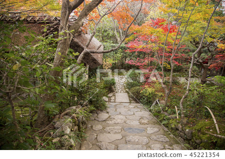 Autumn leaves of Sagano Mirarian Autumn leaves of Sagano Mirarian 45221354