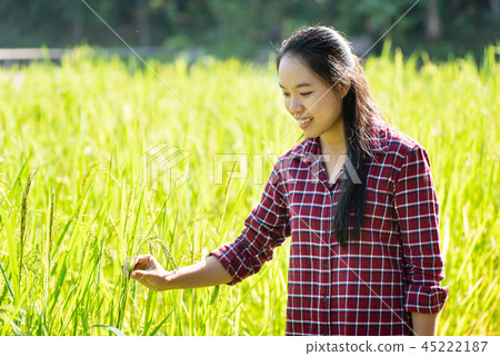 Asian young woman farmer in organic rice field Asian young woman farmer in organic rice field 45222187