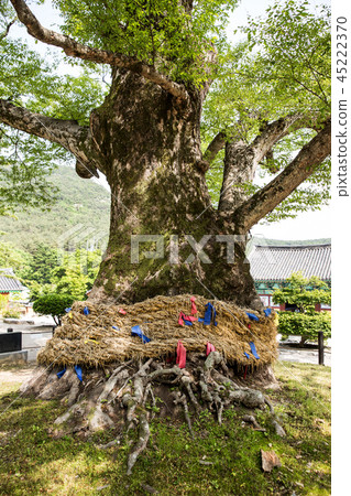 Naesosa, Buan-gun, Jeonbuk 45222370