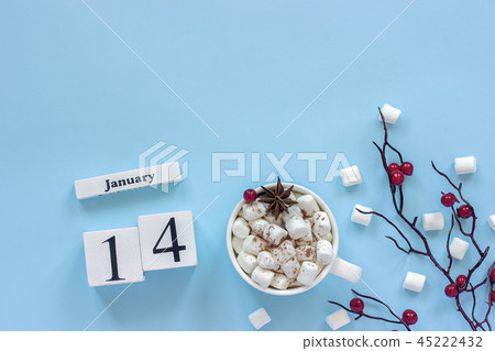 Calendar January 14  45222432