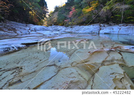 Mukawa Valley，11月秋季（愛媛縣Kumantogen鎮，Mukawa Valley） 45222482