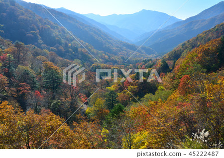Okuya谷kei，秋天（來自德島市，三好市，德島縣，來自Minokoshi） 45222487