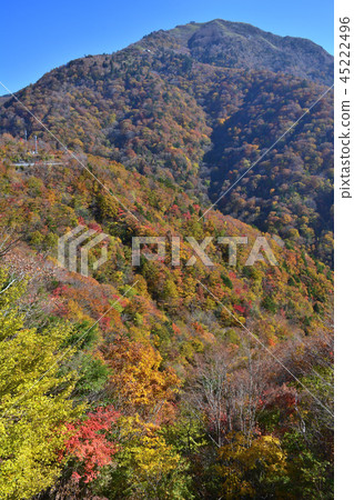 Kaminoyama和Akiyama(Miyakok,Toyoshiya,Miyoshi City,Tokushima Prefecture) Kaminoyama和Akiyama(Miyakok,Toyoshiya,Miyoshi City,Tokushima Prefecture) 45222496