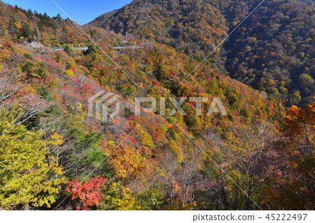 Minonoshi, Aki 4 (Toyoshiya mountain village Miyoshi city, Tokushima prefecture) Minonoshi, Aki 4 (Toyoshiya mountain village Miyoshi city, Tokushima prefecture) 45222497