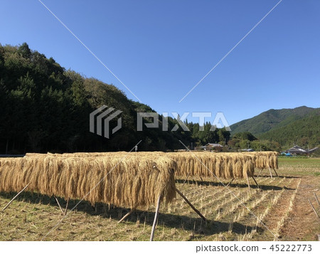 鄉村景觀 45222773