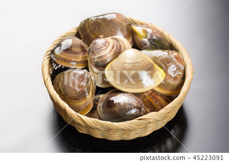 clam clam 45223091