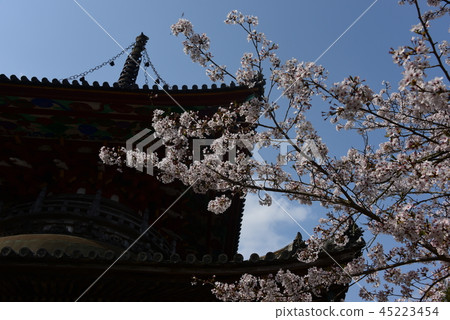 Tagoa tower and cherry blossoms of Shikoku Reijo No. 8 Kumagaya Temple Tagoa tower and cherry blossoms of Shikoku Reijo No. 8 Kumagaya Temple 45223454