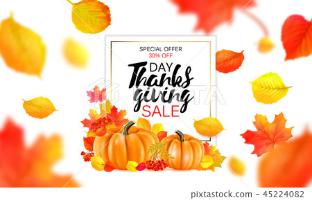 Thanksgiving sale banner. Vector pumpkin harvest maple, oak leaf or rowan berry for autumn sale Thanksgiving sale banner. Vector pumpkin harvest maple, oak leaf or rowan berry for autumn sale 45224082