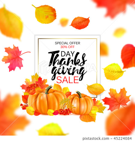 Thanksgiving sale banner. Vector pumpkin harvest maple, oak leaf or rowan berry for autumn sale Thanksgiving sale banner. Vector pumpkin harvest maple, oak leaf or rowan berry for autumn sale 45224084