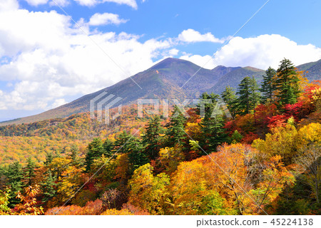 Hachimantaira秋葉 45224138