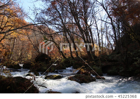 Aomori Oirase mountain stream which turned red Aomori Oirase mountain stream which turned red 45225368