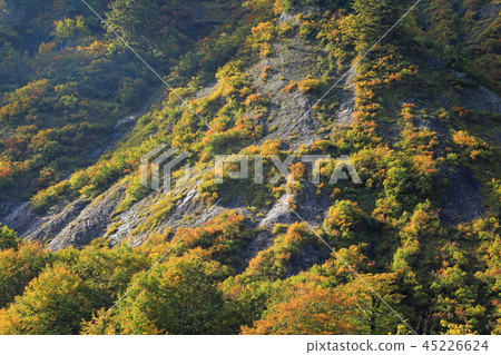 Autumnal leaves of mountainous area in heavy snow area-Tagokura Rest Office Shimi Town, Fukushima Prefecture Autumnal leaves of mountainous area in heavy snow area-Tagokura Rest Office Shimi Town, Fukushima Prefecture 45226624