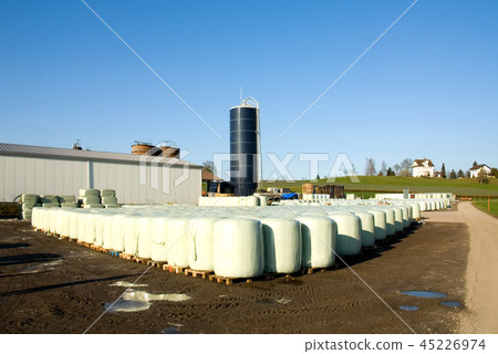 Dairy Farm Dairy Farm 45226974