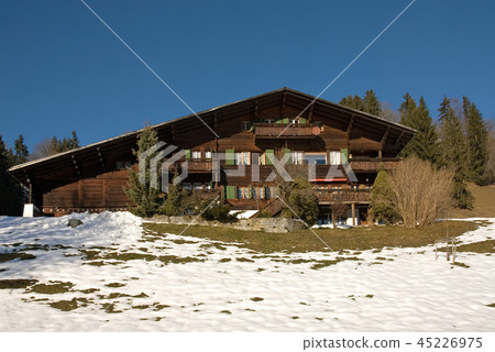 Swiss Chalet Swiss Chalet 45226975
