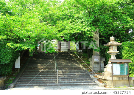 新鮮的綠色Domyoji Tenmangu 新鮮的綠色Domyoji Tenmangu 45227734