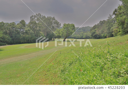 Perfect grass golf course field at hk Perfect grass golf course field at hk 45228203