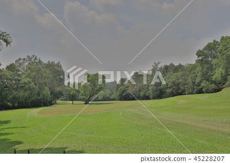 Perfect grass golf course field at hk Perfect grass golf course field at hk 45228207