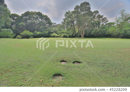 Perfect grass golf course field at hk Perfect grass golf course field at hk 45228209
