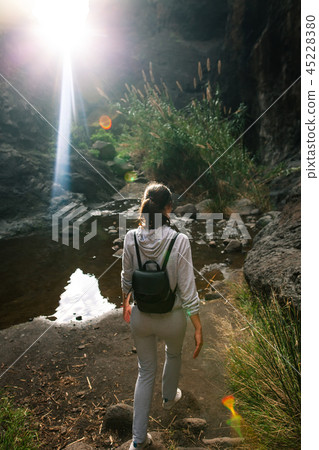 traveler woman walking in forest near lake traveler woman walking in forest near lake 45228380