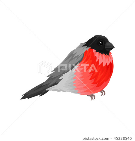 Flat vector icon of bullfinch. Small winter songbird with bright red belly and short beak. Wildlife 45228540