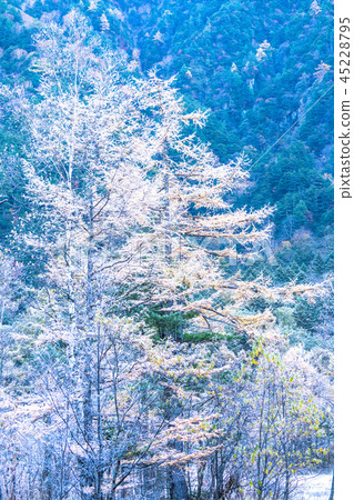 《Nagano Prefecture》Fall Kamikochi/Frozen Tashiroike 《Dawn》 《Nagano Prefecture》Fall Kamikochi/Frozen Tashiroike 《Dawn》 45228795