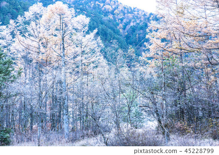 《Nagano Prefecture》Fall Kamikochi/Frozen Tashiroike 《Dawn》 45228799