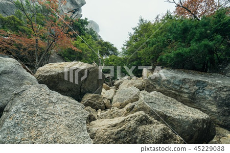 背景材料自然岩石森林風景 45229088