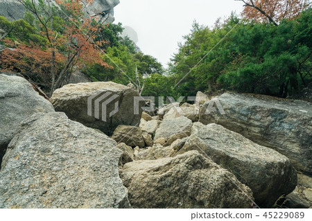 背景材料自然岩石森林風景 45229089