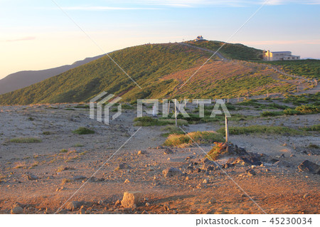 早上燒傷 45230034