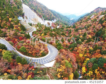 秋葉和地平線 秋葉和地平線 45231057