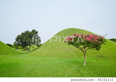 慶州大宏 慶州大宏 45232113