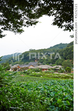 Yangdong Folk Village, Gyeongju City, Gyeongbuk Province 45232121