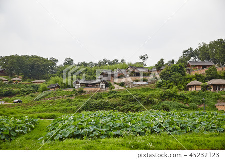Yangdong Folk Village, Gyeongju City, Gyeongbuk Province 45232123