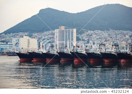 Jagalchi Market, Busan 45232124