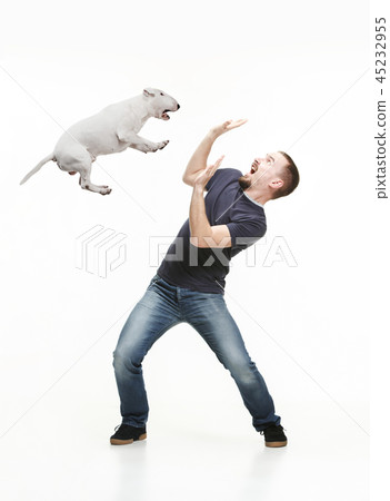 Emotional Portrait of a man and his Bull Terrier dog, concept of friendship and care of man and 45232955