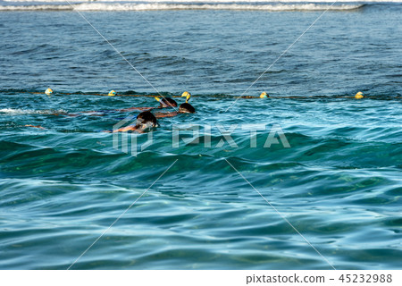 Snorkeling over the Coral Reef - Red Sea Egypt Snorkeling over the Coral Reef - Red Sea Egypt 45232988