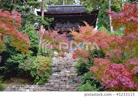 秋天的京都 45233115