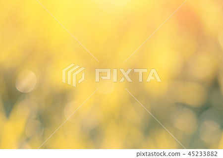 green bokeh from tree, green background. Abstract 45233882