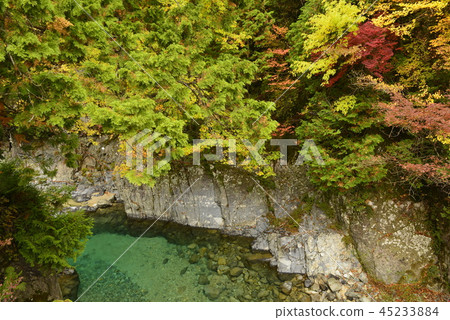 [Nagano Prefecture Okuwa Village] Autumn leaves in the Atera Valley (indoor pool) 45233884