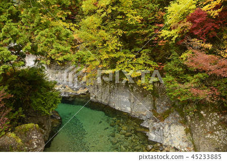 [Nagano Prefecture Okuwa Village] Autumn leaves in the Atera Valley (indoor pool) 45233885