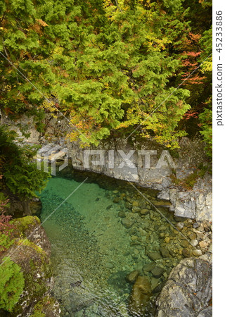 [長野縣奧窪村]阿特拉谷的秋葉（室內游泳池） 45233886