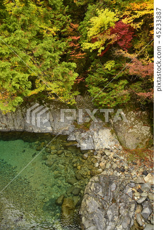 [長野縣奧窪村]阿特拉谷的秋葉（室內游泳池） 45233887