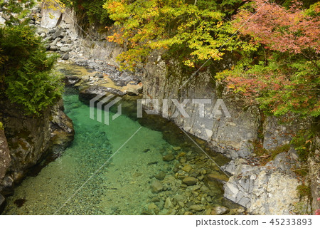 [Nagano Prefecture Okuwa Village] Autumn leaves in the Atera Valley (indoor pool) 45233893