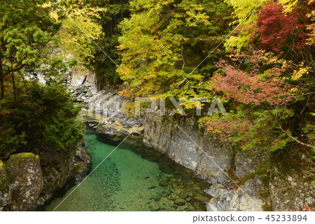 [Nagano Prefecture Okuwa Village] Autumn leaves in the Atera Valley (indoor pool) 45233894