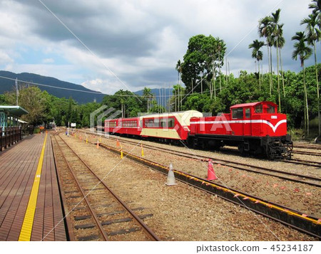 阿里山新中橫 阿里山新中橫 45234187