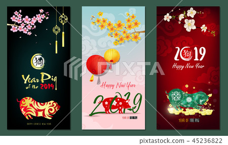 Happy New Year 2019. Chienese New Year, Year of th Happy New Year 2019. Chienese New Year, Year of th 45236822
