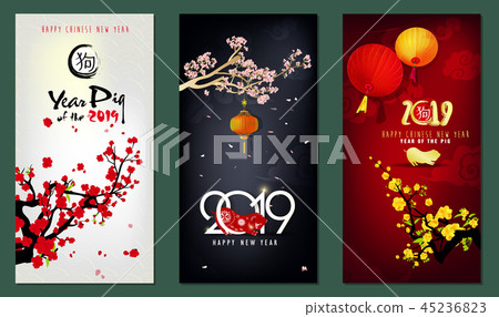 Happy New Year 2019. Chienese New Year, Year of th 45236823