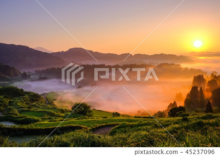 Terraced rice terrace (morning view) Terraced rice terrace (morning view) 45237096